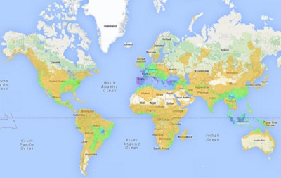 CWR_GlobalSummary