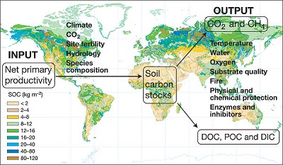 SoilCarbon
