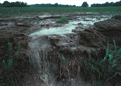 USDA_Vulnerability